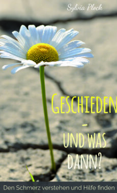 Geschieden – und was dann? (Sylvia Plock)