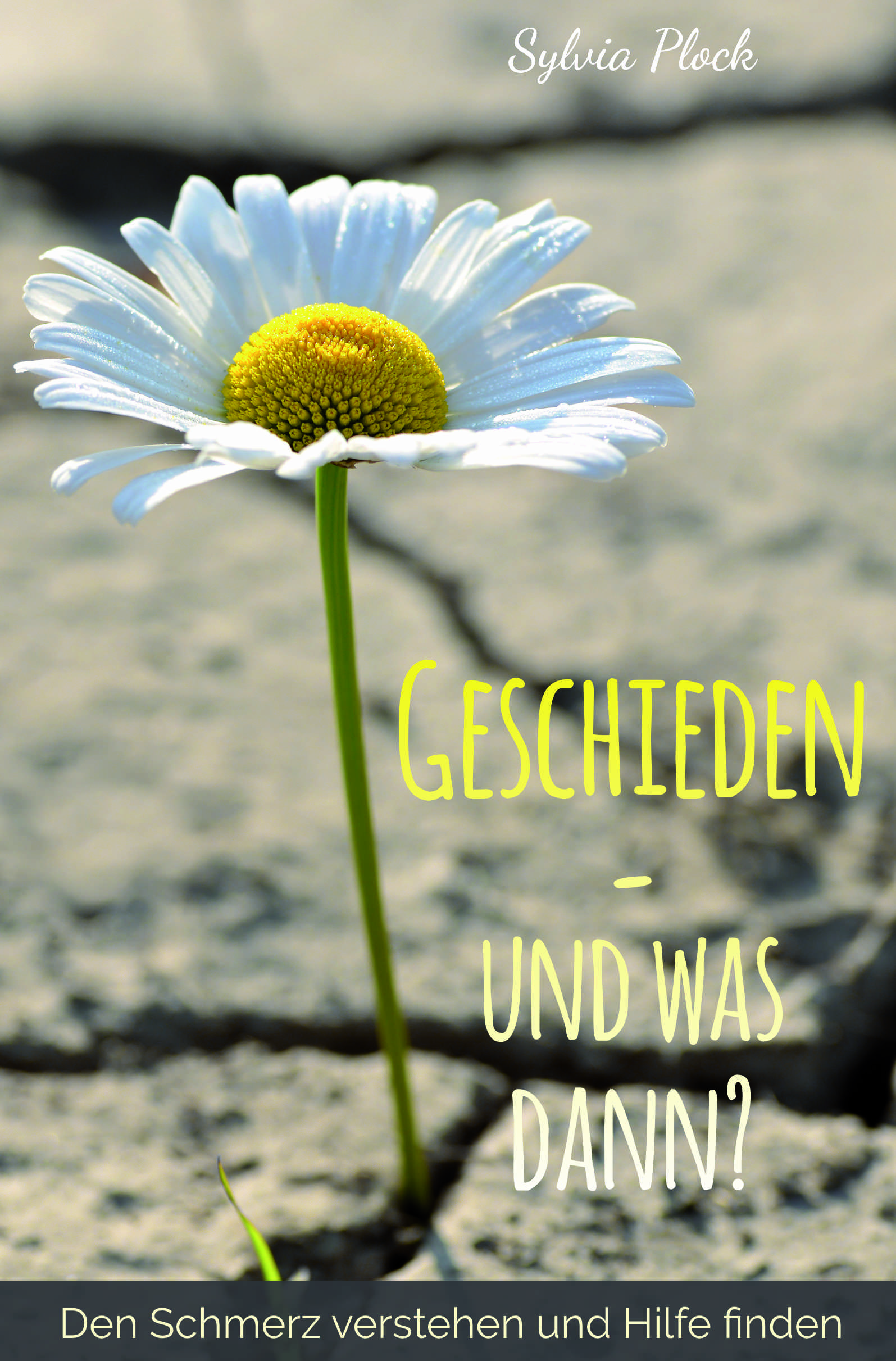 Geschieden – und was dann? (Sylvia Plock)