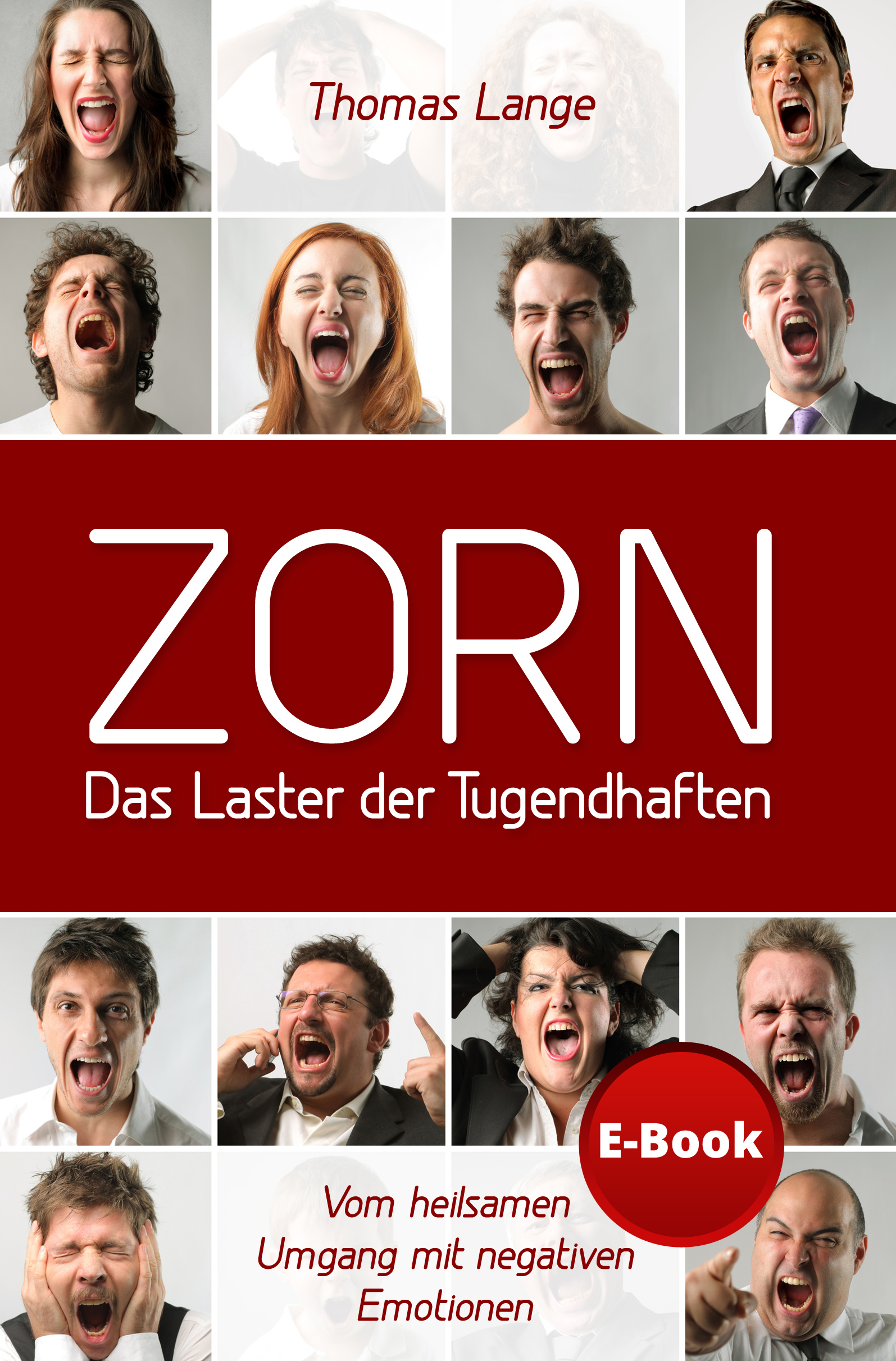 Zorn – Das Laster der Tugendhaften / Vom heilsamen Umgang mit negativen Emotionen-0